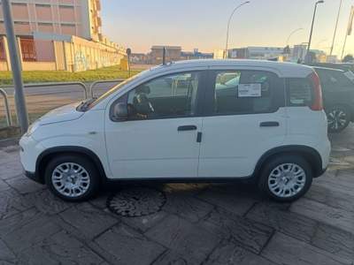 Fiat Panda Pandina 1.0 Firefly 70CV Hybrid Bianco usata Abbiategrasso