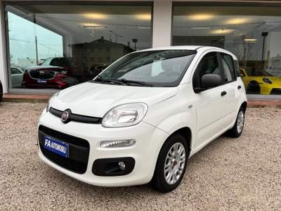 Fiat Panda 1.3 MJT 95 CV S&S Easy Bianco usata Abano Terme