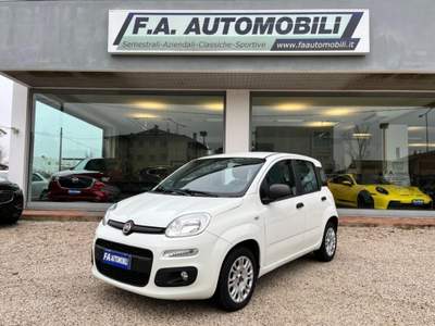 Fiat Panda 1.3 MJT 95 CV S&S Easy Bianco usata Abano Terme