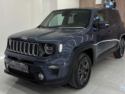 Jeep Renegade 1.6 Mjt 130 CV Business Blu/Azzurro usata San Sebastiano al Vesuvio