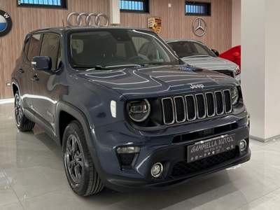 Jeep Renegade 1.6 Mjt 130 CV Business Blu/Azzurro usata San Sebastiano al Vesuvio