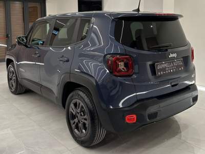 Jeep Renegade 1.6 Mjt 130 CV Business Blu/Azzurro usata San Sebastiano al Vesuvio