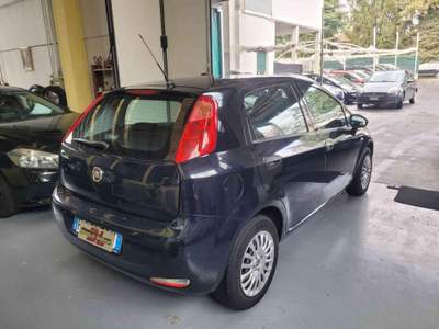 Fiat Punto 1.2 8V 5 porte Street NEOPATENTATI Blu/Azzurro usata Marnate