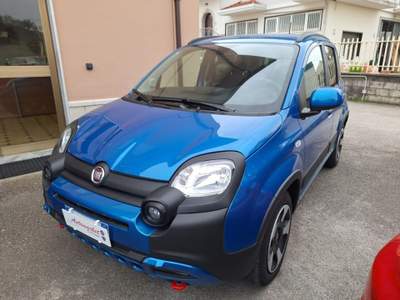Fiat Panda 1.0 FireFly S&S Hybrid Blu/Azzurro usata Grottaminarda