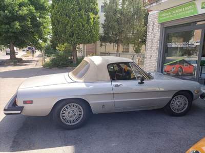 Alfa Romeo Spider 115 41 Grigio usata Nonantola