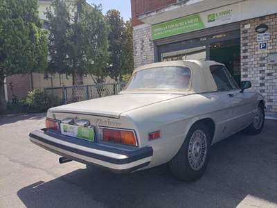 Alfa Romeo Spider 115 41 Grigio usata Nonantola