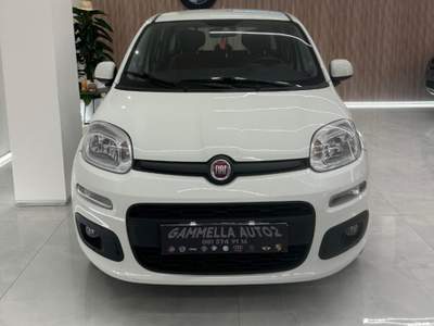 Fiat Panda 1.2 Lounge Bianco usata San Sebastiano al Vesuvio