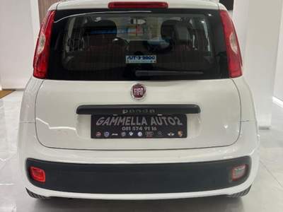 Fiat Panda 1.2 Lounge Bianco usata San Sebastiano al Vesuvio