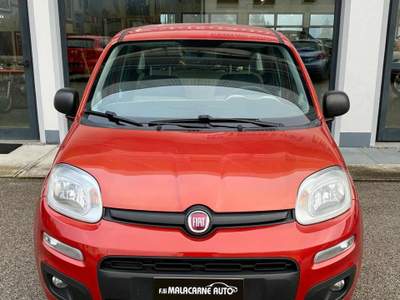Fiat Panda 1.2 Easy NEO PATENTATI! Rosso usata LAMON