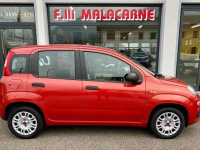 Fiat Panda 1.2 Easy NEO PATENTATI! Rosso usata LAMON