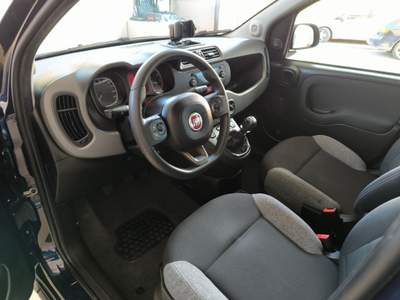 Fiat Panda 1.0 FireFly S&S Hybrid City Life Blu/Azzurro usata Nicosia