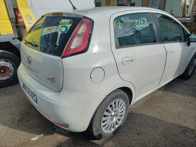 Fiat Punto 1.2 GPL 5 porte Street Bianco usata Magenta