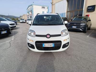 Fiat Panda 1.3 MJT S&S Lounge Bianco usata POTENZA