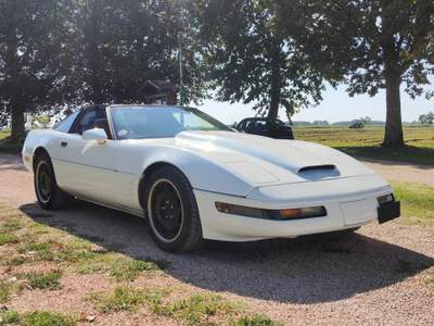 Chevrolet Corvette C4 5.7 V8 Convertible Volumetrico Bianco usata Cava Manara