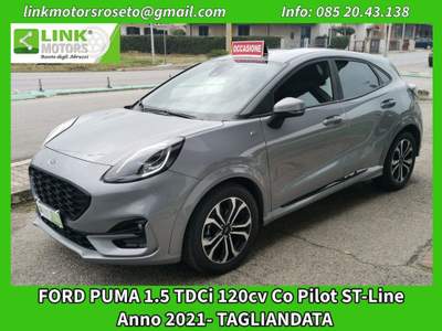 Ford Puma 1.5 EcoBlue 120 CV S&S ST-Line CoPilot Grigio usata Roseto degli Abruzzi