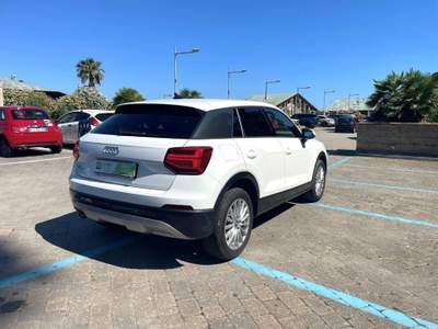 Audi Q2 30 TFSI Business Advanced Bianco usata Varazze