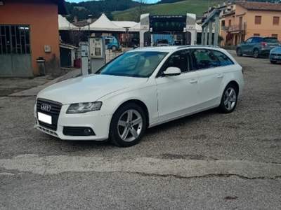 Audi A4 Avant 2.0 TDI 120CV F.AP. Start Plus Bianco usata SANT'ANGELO IN VADO