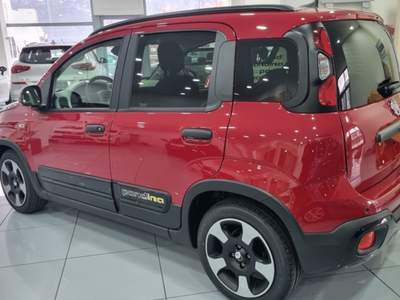 Fiat Panda 1.0 FireFly S&S Hybrid Pandina Rosso usata Trento