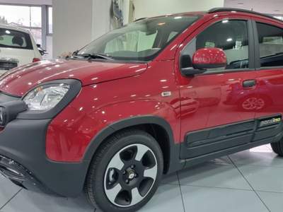 Fiat Panda 1.0 FireFly S&S Hybrid Pandina Rosso usata Trento