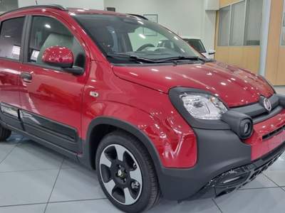 Fiat Panda 1.0 FireFly S&S Hybrid Pandina Rosso usata Trento