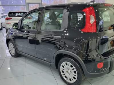 Fiat Panda 1.0 FireFly S&S Hybrid Pandina Nero usata Trento