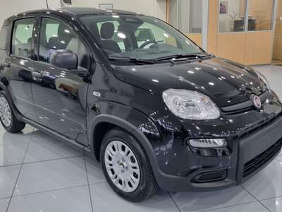 Fiat Panda 1.0 FireFly S&S Hybrid Pandina Nero usata Trento