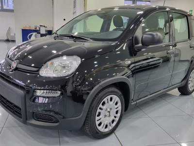 Fiat Panda 1.0 FireFly S&S Hybrid Pandina Nero usata Trento