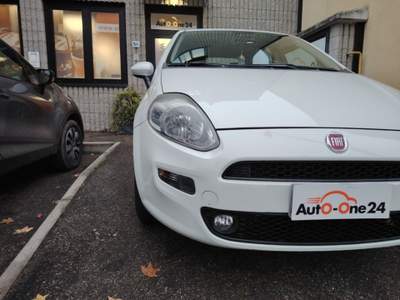 Fiat Punto 1.2 8V 5 porte Street NEOPATENTATI Bianco usata Bareggio
