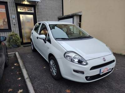 Fiat Punto 1.2 8V 5 porte Street NEOPATENTATI Bianco usata Bareggio