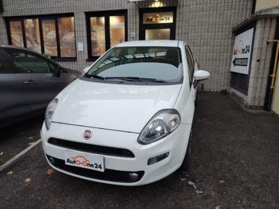 Fiat Punto 1.2 8V 5 porte Street NEOPATENTATI Bianco usata Bareggio