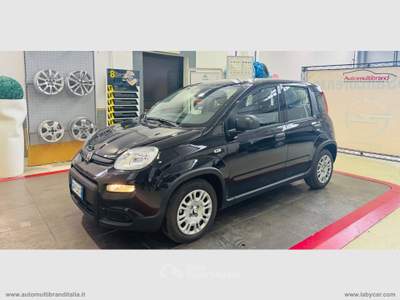 Fiat Panda Panda 1.0 70 CV Hybrid Pandina Nero usata Venezia