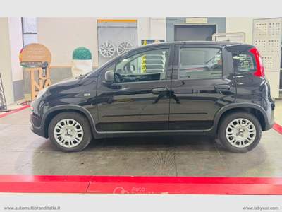 Fiat Panda Panda 1.0 70 CV Hybrid Pandina Nero usata Venezia