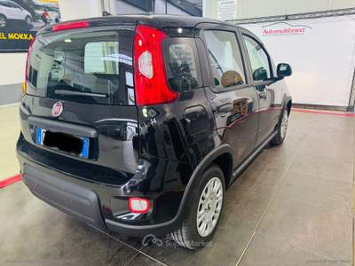 Fiat Panda Panda 1.0 70 CV Hybrid Pandina Nero usata Venezia