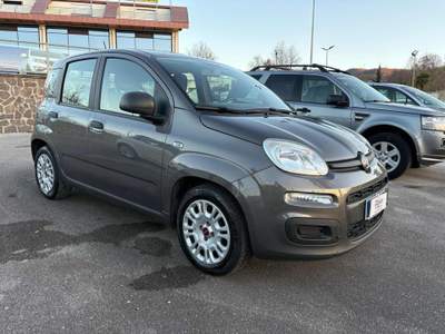Fiat Panda 1.0 FireFly S&S Hybrid 5 POSTI Grigio usata Savoia di Lucania