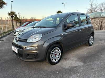 Fiat Panda 1.0 FireFly S&S Hybrid 5 POSTI Grigio usata Savoia di Lucania