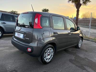 Fiat Panda 1.0 FireFly S&S Hybrid 5 POSTI Grigio usata Savoia di Lucania