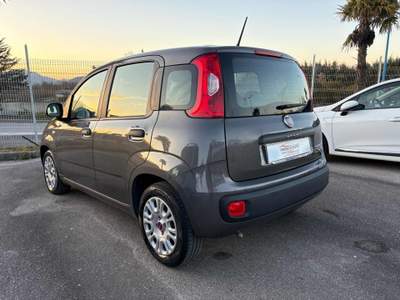 Fiat Panda 1.0 FireFly S&S Hybrid 5 POSTI Grigio usata Savoia di Lucania