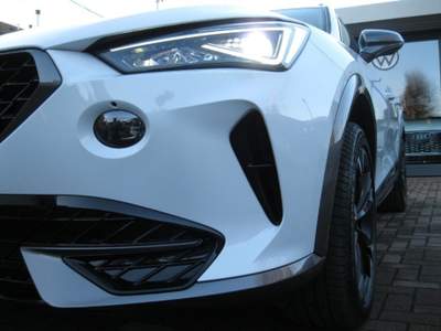 Cupra Formentor 1.5 TSI DSG Grigio usata Lentate sul Seveso