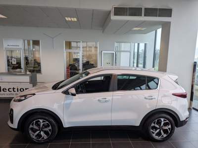 Kia Sportage 1.6 ECOGPL 2WD Bianco usata Limena
