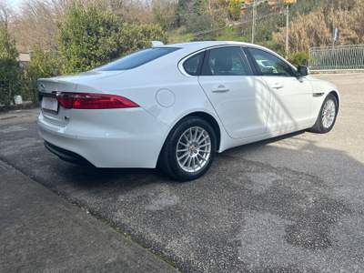 Jaguar XF Jaguar XF 2.0 E-Performance Business Prestige Bianco usata Frosinone