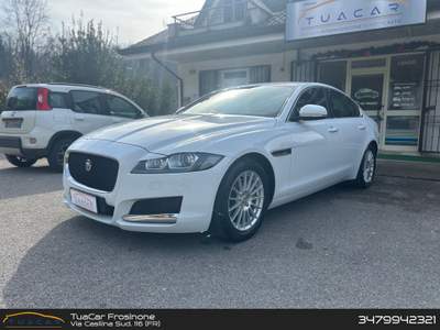 Jaguar XF Jaguar XF 2.0 E-Performance Business Prestige Bianco usata Frosinone
