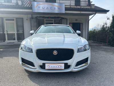 Jaguar XF Jaguar XF 2.0 E-Performance Business Prestige Bianco usata Frosinone