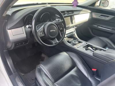 Jaguar XF Jaguar XF 2.0 E-Performance Business Prestige Bianco usata Frosinone