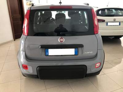 Fiat Panda 1.0 FireFly S&S Hybrid City Life Grigio usata Marsala