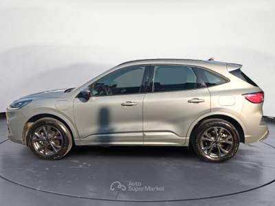 Ford Kuga 3ª SERIE 2.5 PLUG IN HYBRID 225 CV CVT 2WD ST-LINE Argento usata Bolzano