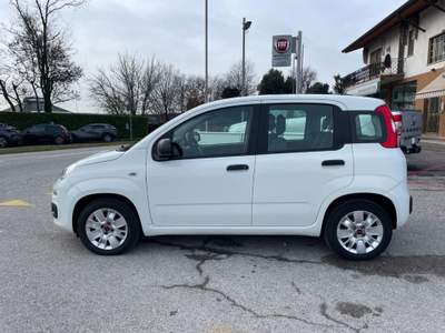 Fiat Panda III 1.2 8v Easy NEOPATENTATI Bianco usata PAVIA DI UDINE