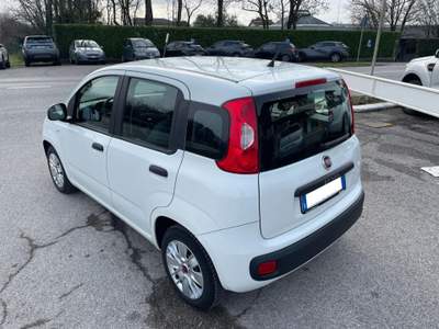 Fiat Panda III 1.2 8v Easy NEOPATENTATI Bianco usata PAVIA DI UDINE