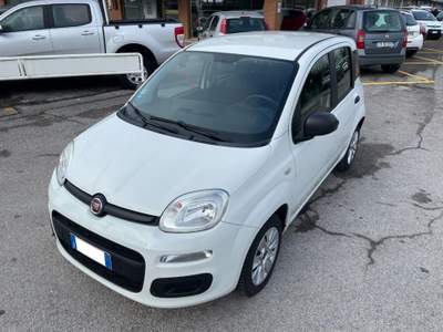 Fiat Panda III 1.2 8v Easy NEOPATENTATI Bianco usata PAVIA DI UDINE