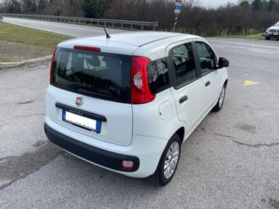 Fiat Panda III 1.2 8v Easy NEOPATENTATI Bianco usata PAVIA DI UDINE