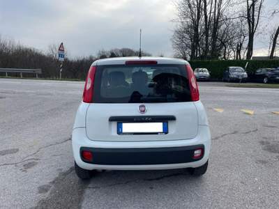 Fiat Panda III 1.2 8v Easy NEOPATENTATI Bianco usata PAVIA DI UDINE